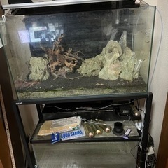 【最終値下げ】60センチ水槽2個 水槽台 LEDライト 上部フィルタ次