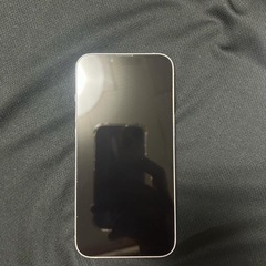 iPhone13
