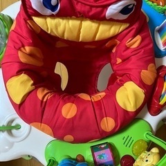 レインフォレストジャンパルーの画像