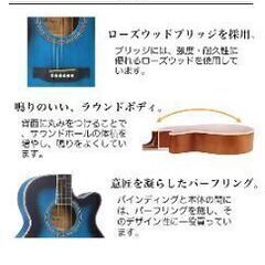 アコースティックギター　16点セット　ほぼ未使用品の画像