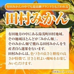 【和歌山土産】田村育ち 温州みかんゼリー〈紀伊観光物産〉の画像