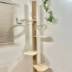 【美品・未使用】つっぱりキャットタワーの画像