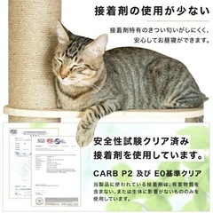 【美品・未使用】つっぱりキャットタワーの画像