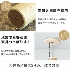 【美品・未使用】つっぱりキャットタワーの画像