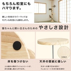 【美品・未使用】つっぱりキャットタワーの画像