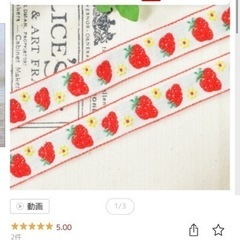 新品　バイアステープ　チロリアンテープの画像