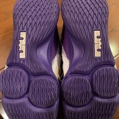 レブロン　ウィットネス4 レイカーズカラー！の画像