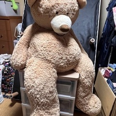コストコ　くま　ぬいぐるみ