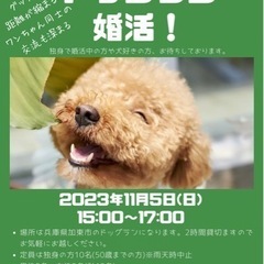 ドッグラン婚活！！