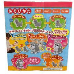 イワヤ、可愛いミニチュアシュナイダー。いっしょにワントレ1.2.3!の画像