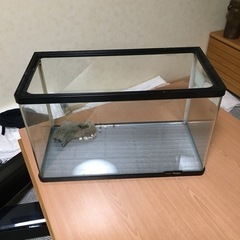 水槽の画像