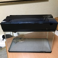 水槽の画像