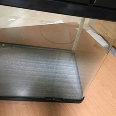 水槽の画像