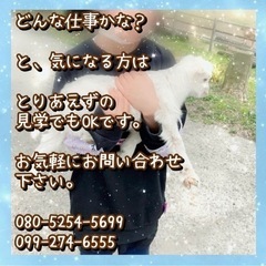 保育士・児童指導員・指導員【放課後等デイサービス】の画像