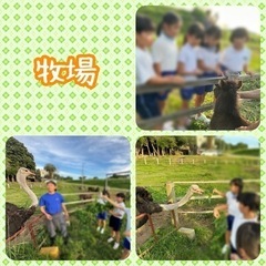 保育士・児童指導員・指導員【放課後等デイサービス】の画像
