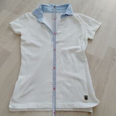 レディース　ポロシャツ　綺麗の画像