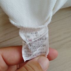 レディース　ポロシャツ　綺麗の画像