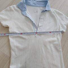 レディース　ポロシャツ　綺麗の画像