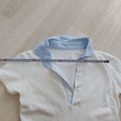 レディース　ポロシャツ　綺麗の画像