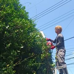 💴Max￥15000🙉【10月23日】神現場と呼ばれる造園ベンチャーの画像