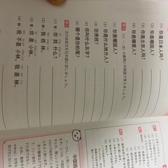 中国語の本ですの画像