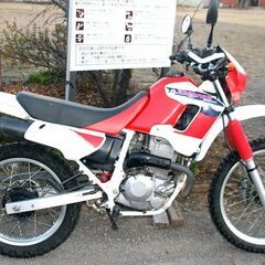ホンダ　ディグリー　前期　低走行　実動良好の画像