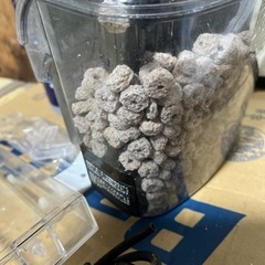 海水魚飼育セットの画像