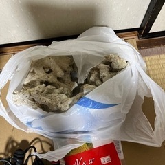 海水魚飼育セットの画像