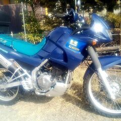 カワサキ　ＫＬＥ２５０　アネーロ　青　実動良好の画像