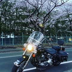 誰かツーリングしませんか！