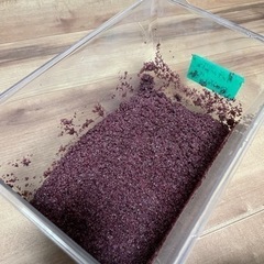 アクアリウム 熱帯魚 用品 溶岩砂とオマケでガーネットサンドの画像