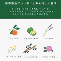 週末限定価格‼️itsumodori スキンケア クリーム 80mL しそ 高保湿 ハリ 大人肌の画像