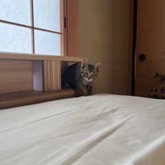 ありがとうございました。 − 長野県