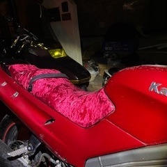 zzr250の画像