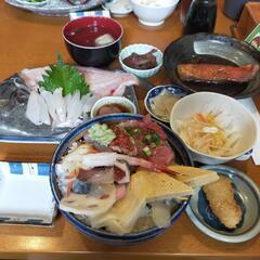 【おさんぽサークル】　メンバー若干名募集 - 友達