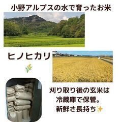 新米R５年★小野アルプスの美味しい水で育ったお米。玄米30キロ②