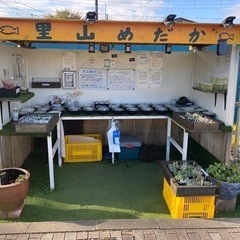 里山公園前　里山メダカ　めだかと多肉植物　の画像