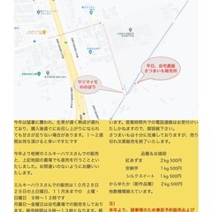 2023年サツマイモの販売開始のお知らせ