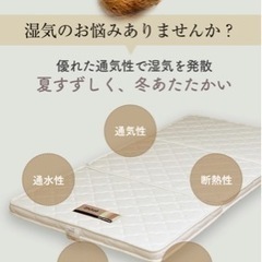パームマットレスの画像