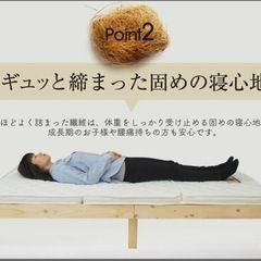 パームマットレスの画像