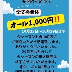 めだか無人販売全品¥1.000-