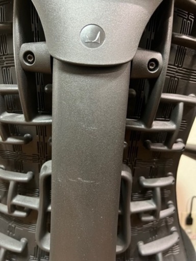 HermanMiller Embody Chairs