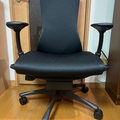 HermanMiller Embody Chairs