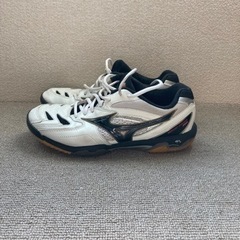 【新品価格12,375円】中古バドミントンシューズ25.5