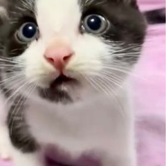 🍒【終の住処決まりました🙇‍♀️】【トミーくん】毎日ご機嫌❣️ま...