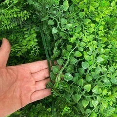 グリーンマット詰め合わせ アジアンタム 50×50cm カインズ  フェイクグリーン 屋外用 大量  目隠し ガーデニング ディスプレイの画像