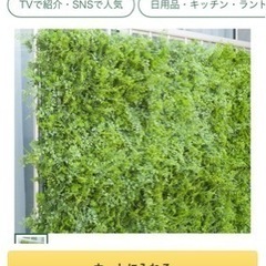 グリーンマット詰め合わせ アジアンタム 50×50cm カインズ  フェイクグリーン 屋外用 大量  目隠し ガーデニング ディスプレイの画像