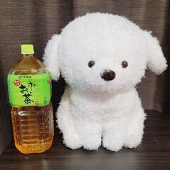 【新品タグ付き】トイプーのモコフィー BIGぬいぐるみ モコフィー 3個セットの画像
