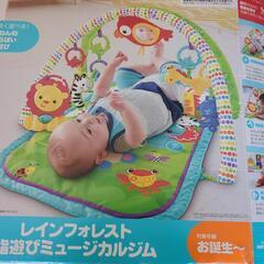 10/27まで　Fisher Price レインフォレスト指遊び...