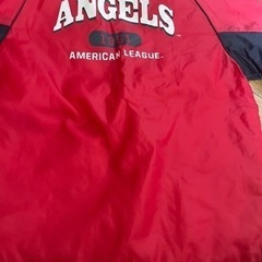 多少の汚れありますので気にされない方での画像